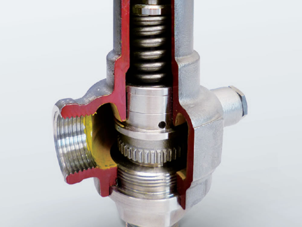 Technical features of the safety valve